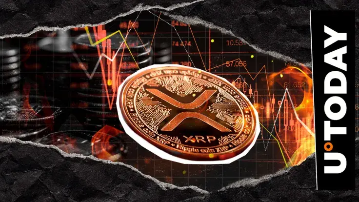 XRP Burns Going to 0: Crucial Metric Plunge Raises Questions