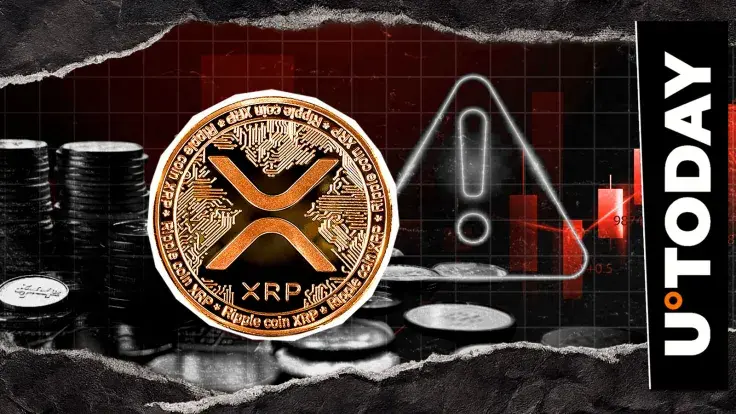 Ripple Partner Exchange Drops Crucial Scam Alert for XRP, Crypto Community