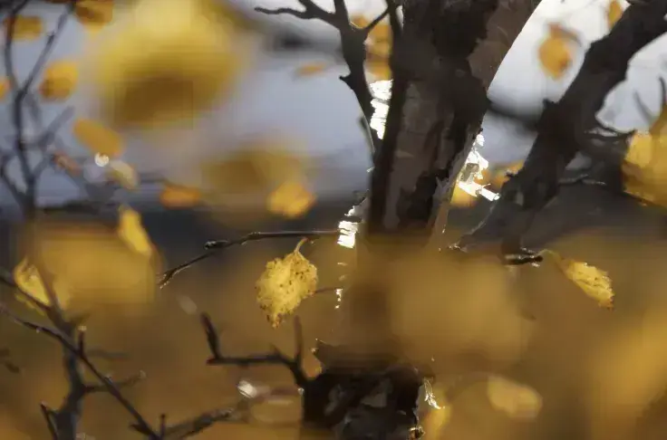 October Outlook: Bitcoin’s Seasonality, Macro Trends, Gold Correlation, and ETF Bonanza