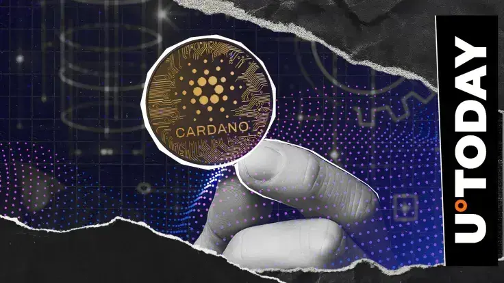 Cardano (ADA) Developers Invited to Share Feedback on Ecosystem