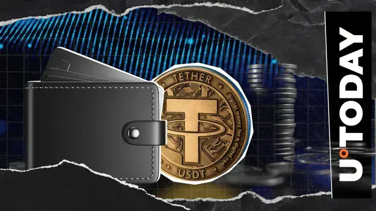 Tether CEO Ardoino Teases Trillions of Wallets With This Release