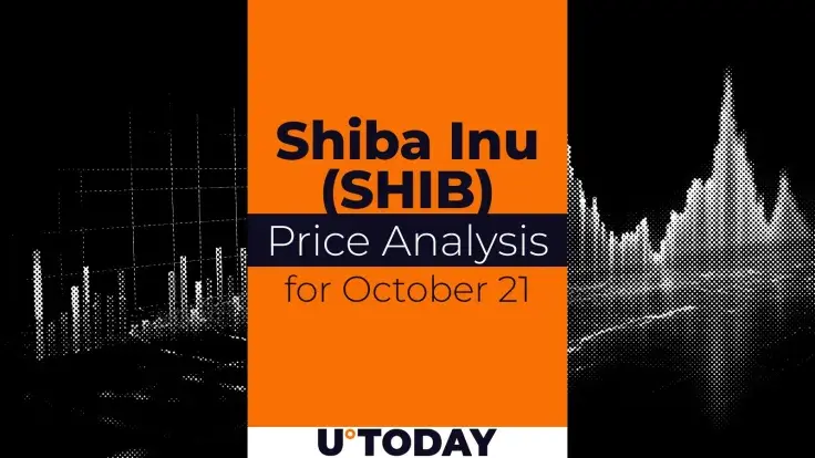 SHIB Price Analysis for October 21
