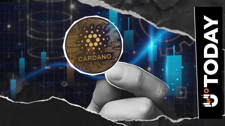 Cardano Founder Reacts to Kadena Blockchain's Unexpected Sunset Move
