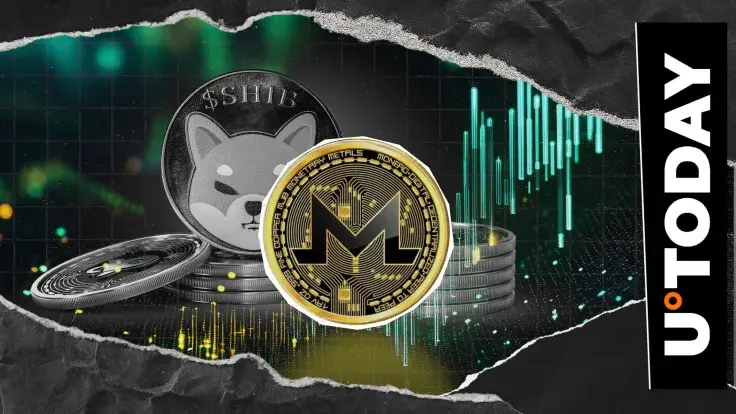 Monero (XMR) Suddenly up 9%, Dethrones Shiba Inu (SHIB) in Major Crypto Ranking