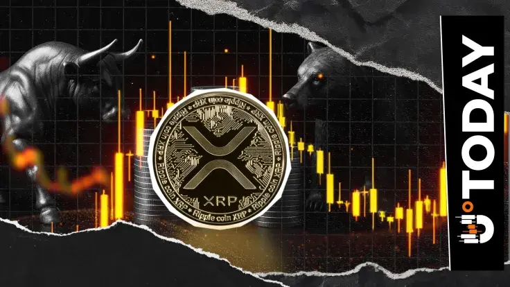 Max Pain Price for XRP Revealed: 30% for Bears, and Just 10% for Bulls