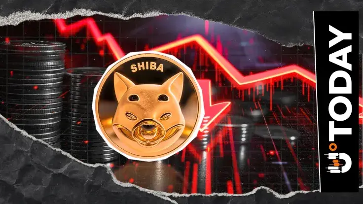 Shiba Inu (SHIB): Enormous 289 Billion Drop Just Happened: What Does It Mean?