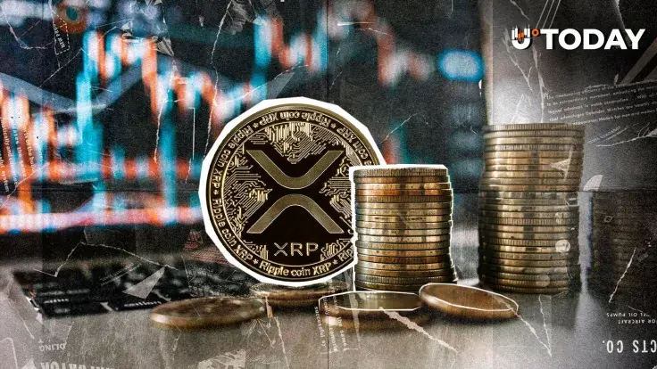 261,819,198 XRP Now Held by Evernorth in Push to Build Largest Treasury