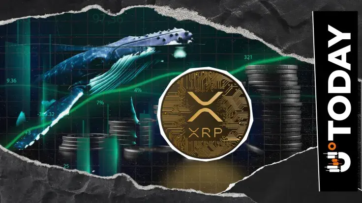 XRP Gets Unusual Investment From Hyperliquid Whale