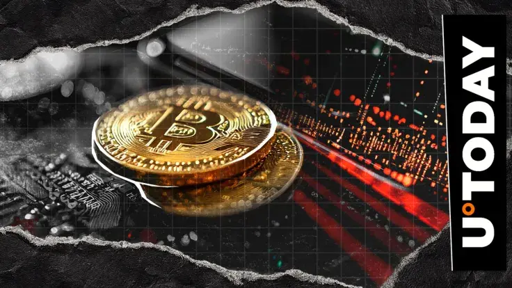 'Bitcoin Fixes This': Crypto Community Reacts to Government Shutdown