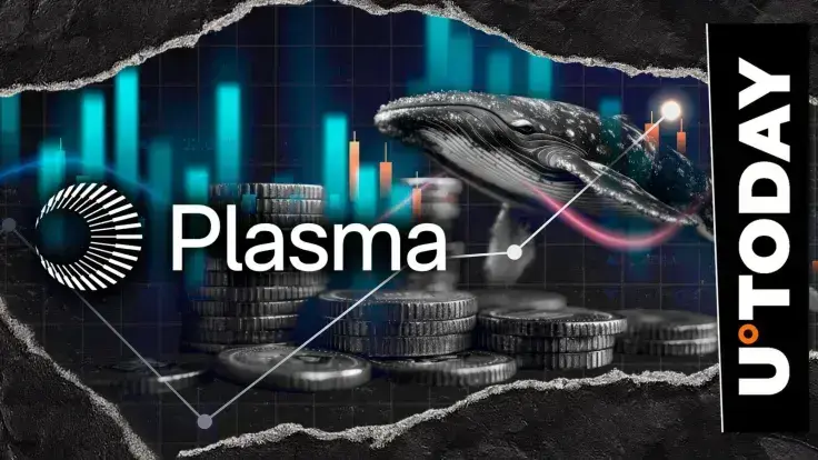 XPL, Not XRP: Why Are Whales Shoveling Ripple's Rival?