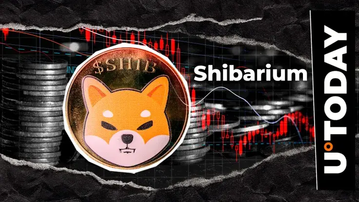 99% Crash in Shibarium Transactions, Will Ominous Trend Reverse in Uptober?