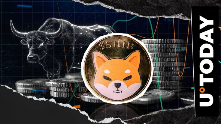 Shiba Inu (SHIB): Massive Fight for Bull Run Chance Begins Now
