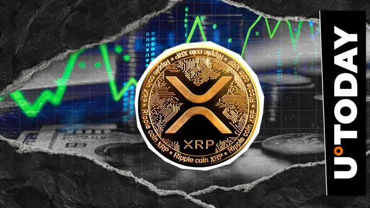 1.5 Million XRP Confirmed in Last 24 Hours