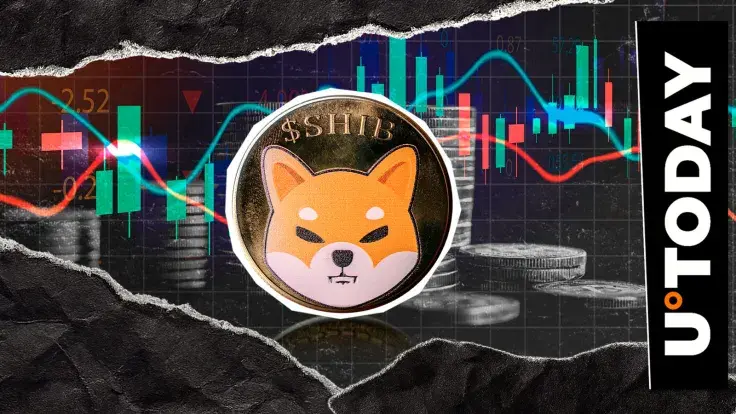Shiba Inu (SHIB) Gained 100,000,000,000, But In Wrong Place