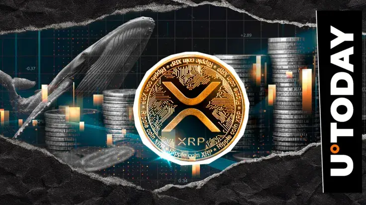 Whales Offload XRP at Dizzying Pace 