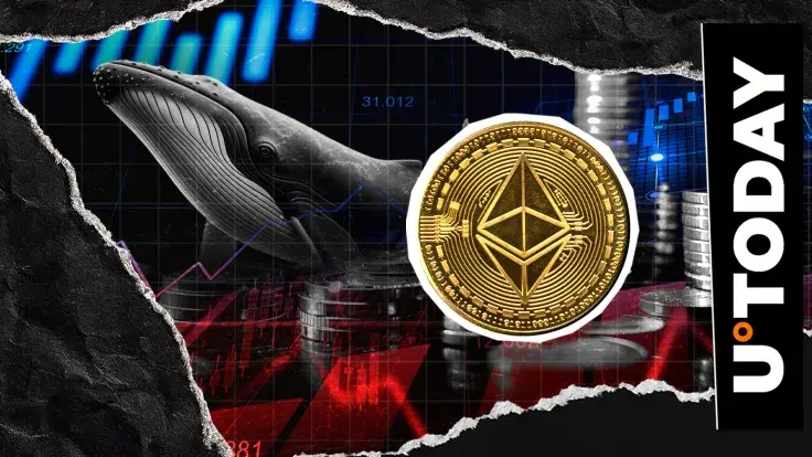 Ethereum Back on Whales' Radar After 12% Price Crash