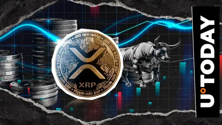 XRP Bulls Crushed by 935% Liquidation Imbalance as Price Loses 7%