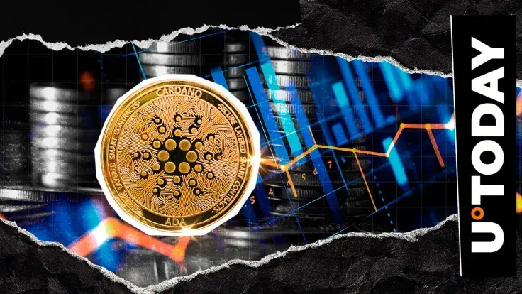Cardano Price Finally Oversold, Here's What to Expect Now