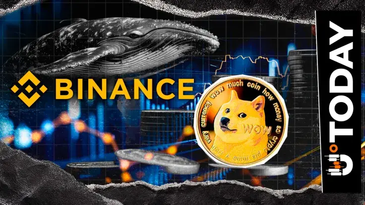 Mysterious Dogecoin Whale Reactivates With 15 Million DOGE Withdrawal From Binance