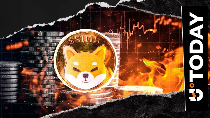 Shiba Inu Stuns With Crazy 28,554% Burn Rate Surge