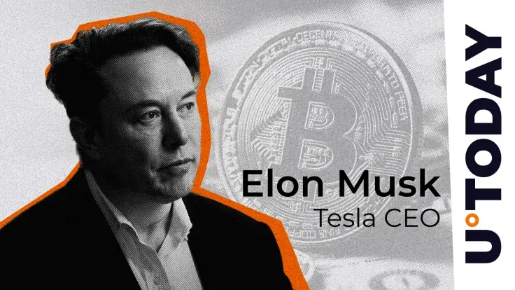 'True Currency': Elon Musk Makes Major Bitcoin Statement