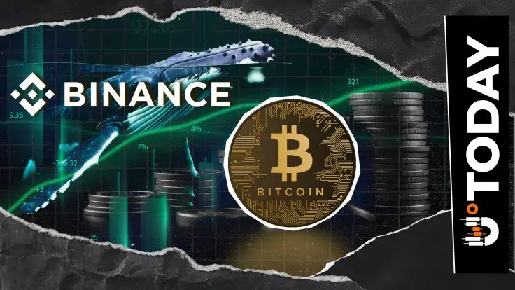 Binance Bitcoin Whale Activity Surges, Hints at More Upside