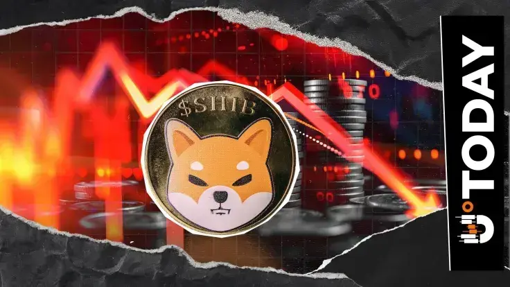 Shiba Inu (SHIB) in Critical Condition: Worst State Since January 2024