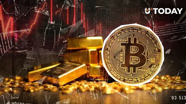 VanEck Chief Says Investors Should Hold Both Bitcoin and Gold for Portfolio Balance