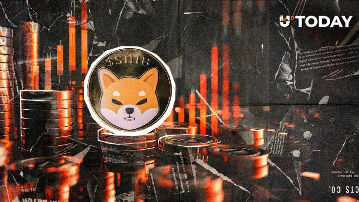 Shiba Inu Team Breaks Silence on Crypto Crash: 'Outcome No One Predicted'