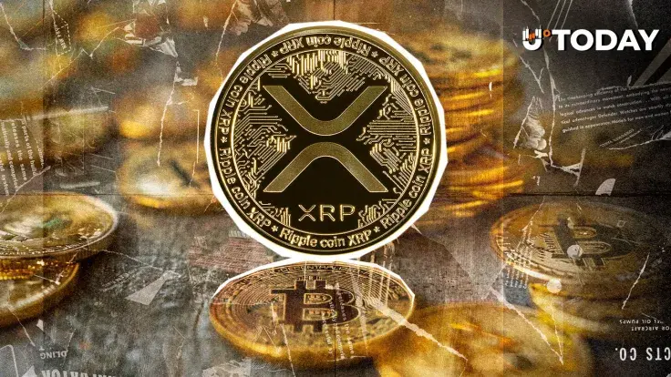 'I Just Don't See It': Top XRP Trader Not Impressed With Bitcoin Price Recovery