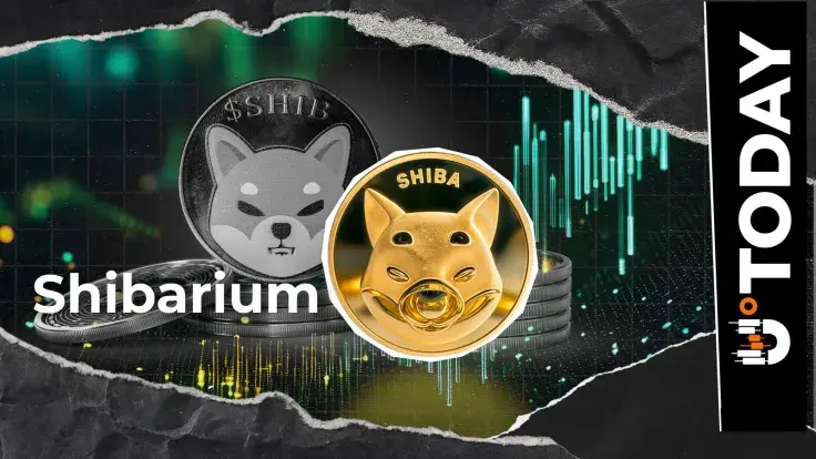 Shibarium Transactions Rocket 78% Ahead of Major Milestone