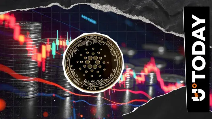 Cardano Will Fall out of Top 20 in 2026, Says Nansen CEO