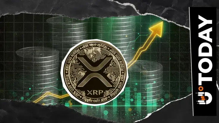 XRP Spikes 4.5x in Last 24 Hours: What's Behind the Network Spike?