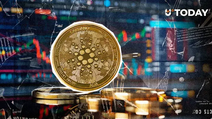 7,000,000 Staked Cardano at Risk of Loss, Here's Reason