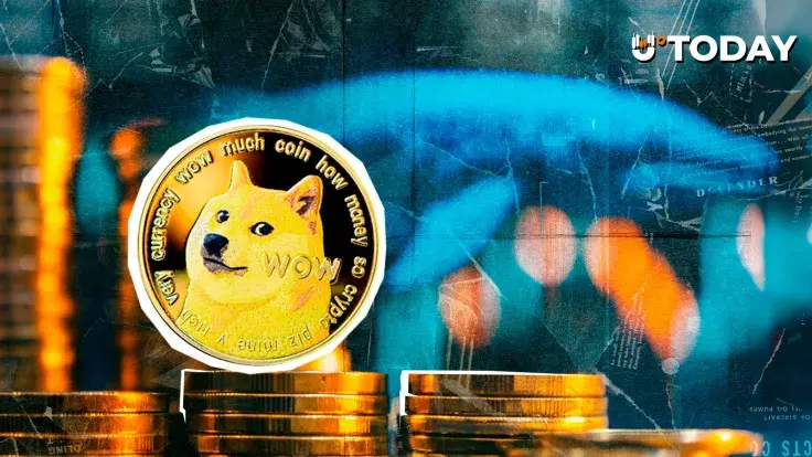 Dogecoin Whales Go Silent, What's Going On?