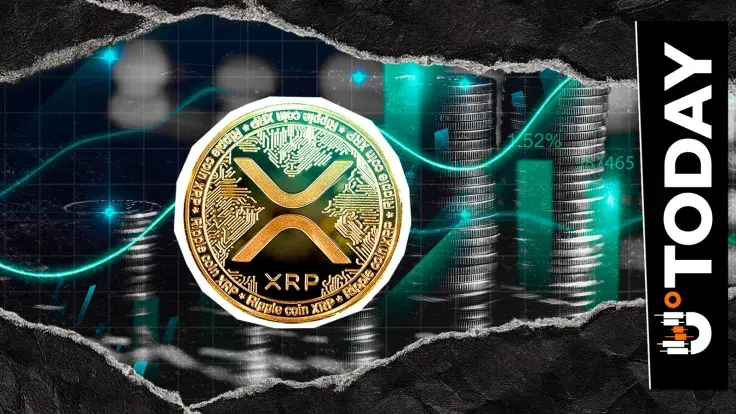 100% XRP Surge in New Users: What's Behind This Spike?