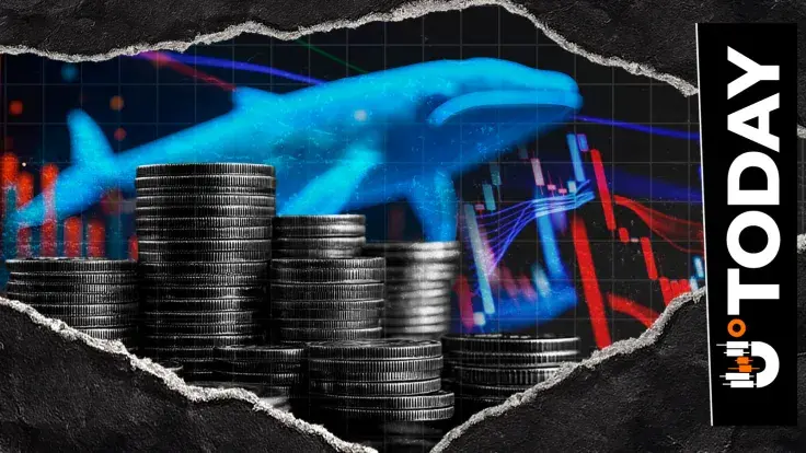 12 Liquidations in 12 Hours: Crypto Bloodbath Among Crypto Whales