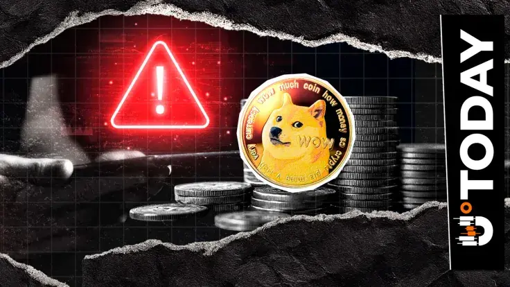 Nothing Can Officially Represent Dogecoin, Developer Tells Community