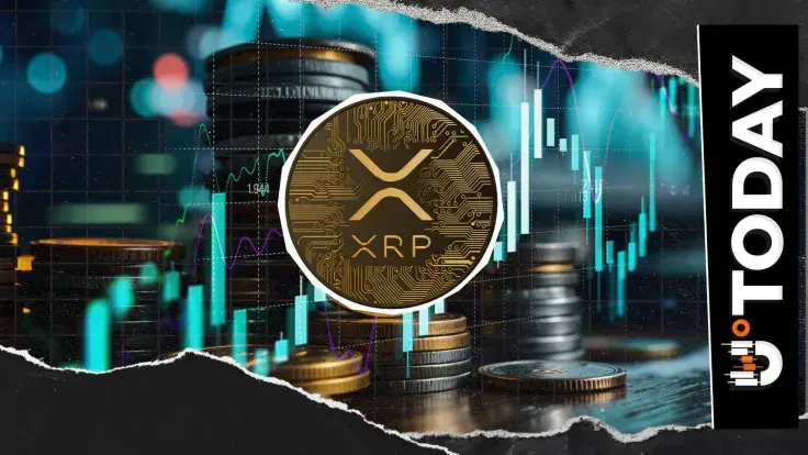 XRP Not Leaving 1,000,000,000 Club: Fundamental Growth Recorded