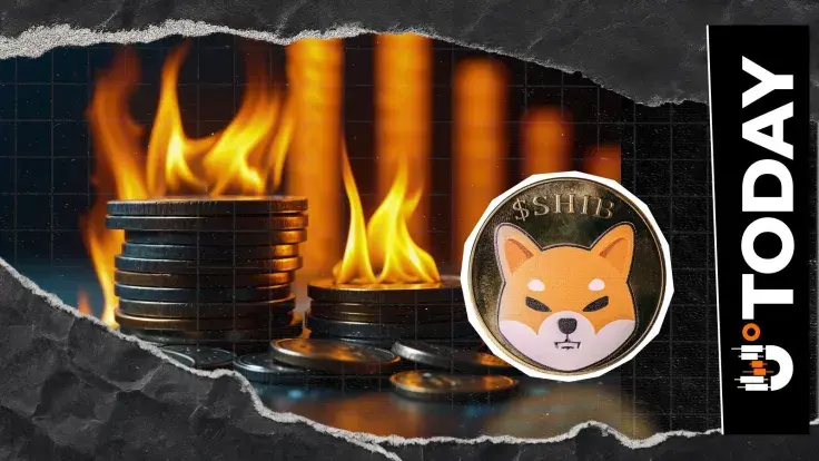 Shiba Inu Burn Rate Crashes Further 62% to New Lows, Now What?