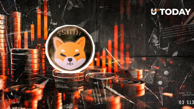Shiba Inu Metric Crashes to Zero in Year-End Market Positioning: Details