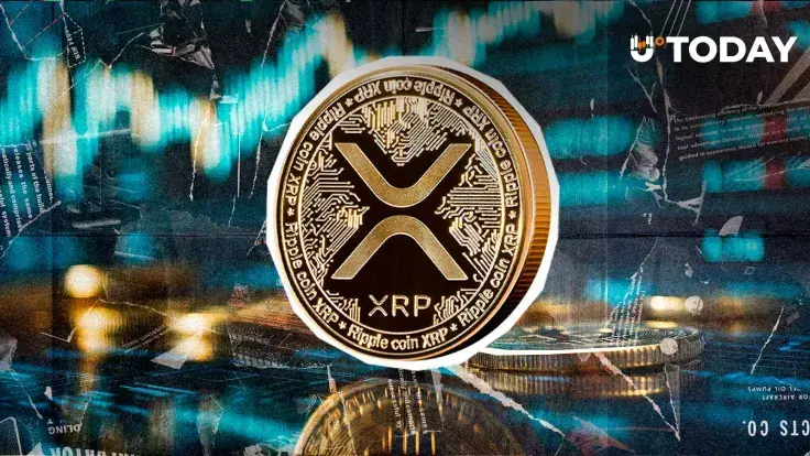 XRP Under $2 Is a Gift? World's Highest IQ Figure Reveals Three Takes on Why