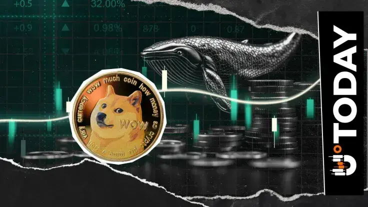 Dogecoin Whales Go Quiet, What's Going On?