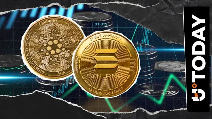 'Time to Get Cooking': Cardano and Solana Founders Tease Cross-Chain Bridge