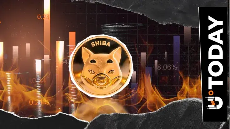 Shiba Inu Burn Rate Crashes Overnight as SHIB Price Reverses Gain