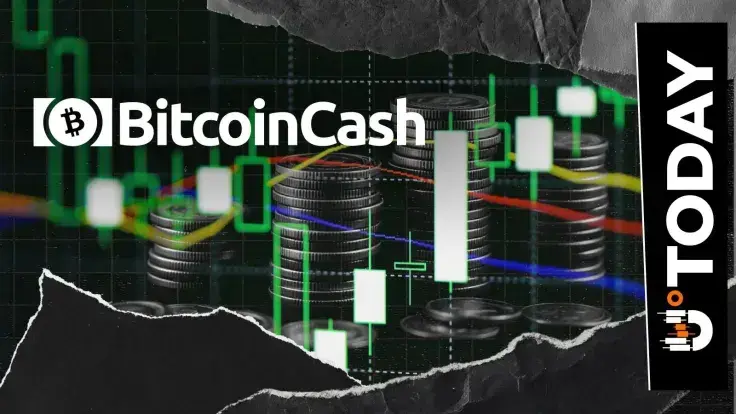 Bitcoin Cash (BCH) Rockets 61,561% in Liquidation Imbalance, Price Reacts