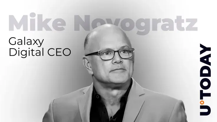 Novogratz Predicts 2026 Will Be Great for Crypto  