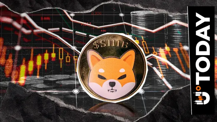 Extreme Shiba Inu Anomaly or On-Chain Error: 23,561,900,000,000 SHIB in 24 Hours