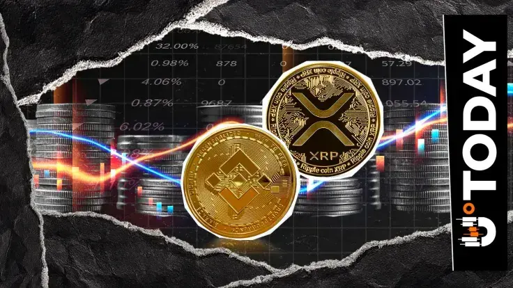XRP vs BNB Unexpectedly Becomes Tightest Race Crypto Has Right Now