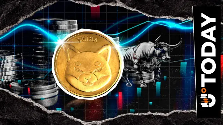 Shiba Inu (SHIB) Prints Rare $0 in Bull Liquidations: Is Worst Over?